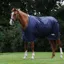 Saxon Defiant 600D Standard Neck 200g Turnout Rug - Navy/White